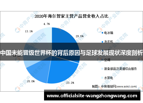 中国未能晋级世界杯的背后原因与足球发展现状深度剖析