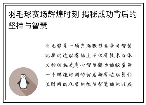 羽毛球赛场辉煌时刻 揭秘成功背后的坚持与智慧