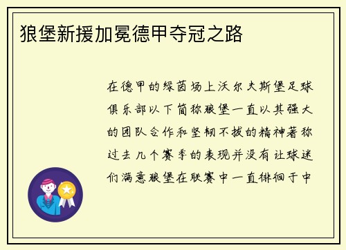 狼堡新援加冕德甲夺冠之路